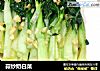 蒜炒奶白菜的做法