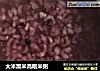 大米黑米高粮米粥的做法