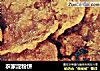农家淀粉饼的做法