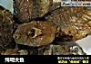 炖明太鱼的做法