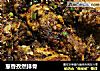 葱香孜然排骨的做法