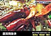 酸菜烧鱼块的做法
