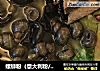 螺蛳粉（意大利粉/面）的做法