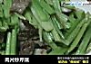 肉片炒芹菜的做法