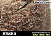 家常武昌鱼的做法