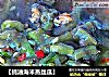 【蚝油海米蒸丝瓜】的做法