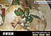 农家豆腐的做法