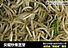 尖椒炒绿豆芽的做法