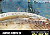 咸鸭蛋蒸橡皮鱼的做法