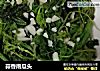 蒜香南瓜头的做法