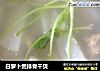 白萝卜煲排骨干贝的做法