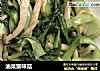 油菜蟹味菇的做法