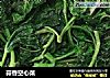 蒜香空心菜的做法