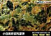 小白菜虾皮鸡蛋饼的做法