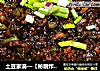 土豆家滴—【秘制炸酱面】+【秘制炸酱】的做法