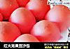 红火龙果豆沙包的做法