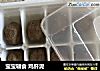 宝宝辅食 鸡肝泥的做法