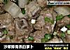 沙嗲排骨蒸白萝卜的做法
