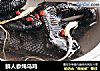 鲜人参炖乌鸡的做法