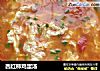 西红柿鸡蛋汤的做法