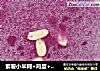 紫薯小米糊+鸡蛋+奶黄包的做法