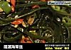 醋溜海带丝的做法