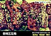 香烤五花肉的做法