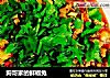 狗哥家的鲜椒兔的做法