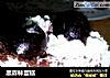 黑森林蛋糕做法(19)的做法