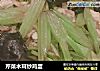 芹菜木耳炒鸡蛋的做法