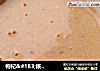 枸杞＆#183;核桃＆#183;燕麦米糊的做法