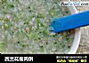 西兰花瘦肉粥的做法