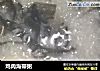 鸡肉海带粥的做法