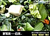 家常菜----白菜炖豆腐的做法