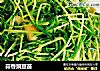 蒜香豌豆苗的做法