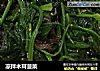 凉拌木耳菠菜的做法