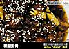 糖醋排骨的做法