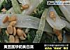 黄豆酱炒奶黄白菜的做法