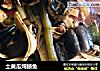 土黄瓜炖鳝鱼的做法
