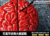 万圣节仿真大脑蛋糕的做法