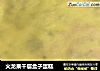 火龙果千层盒子蛋糕的做法