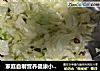 家庭自制营养健康小咸菜的做法