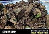 洋葱蒸排骨的做法