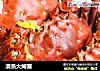 清蒸大闸蟹的做法