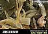 凉拌洋葱海带的做法