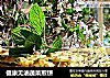 健康无油蔬菜煎饼的做法