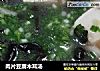 肉片豆腐木耳汤的做法