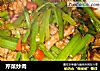 芹菜炒肉的做法