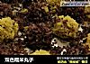 双色糯米丸子的做法