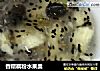 香糯藕粉水果羹的做法